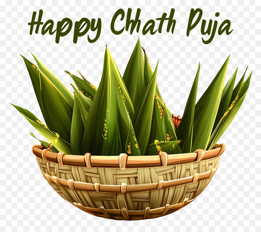 Selamat Chhath Puja，Keranjang Dengan Daun PNG