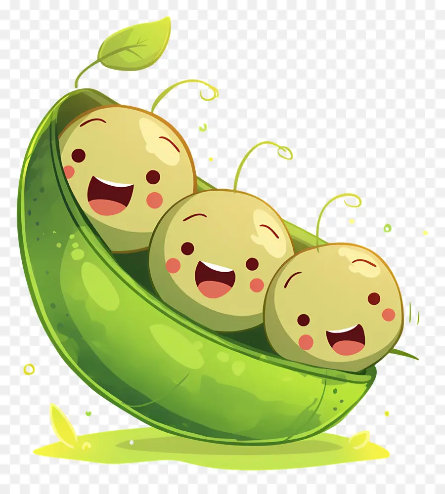 Kacang Polong Kawaii，Selamat Kacang Polong PNG