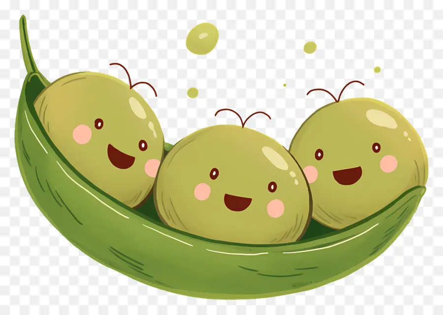 Kacang Polong Kawaii，Selamat Kacang Polong PNG