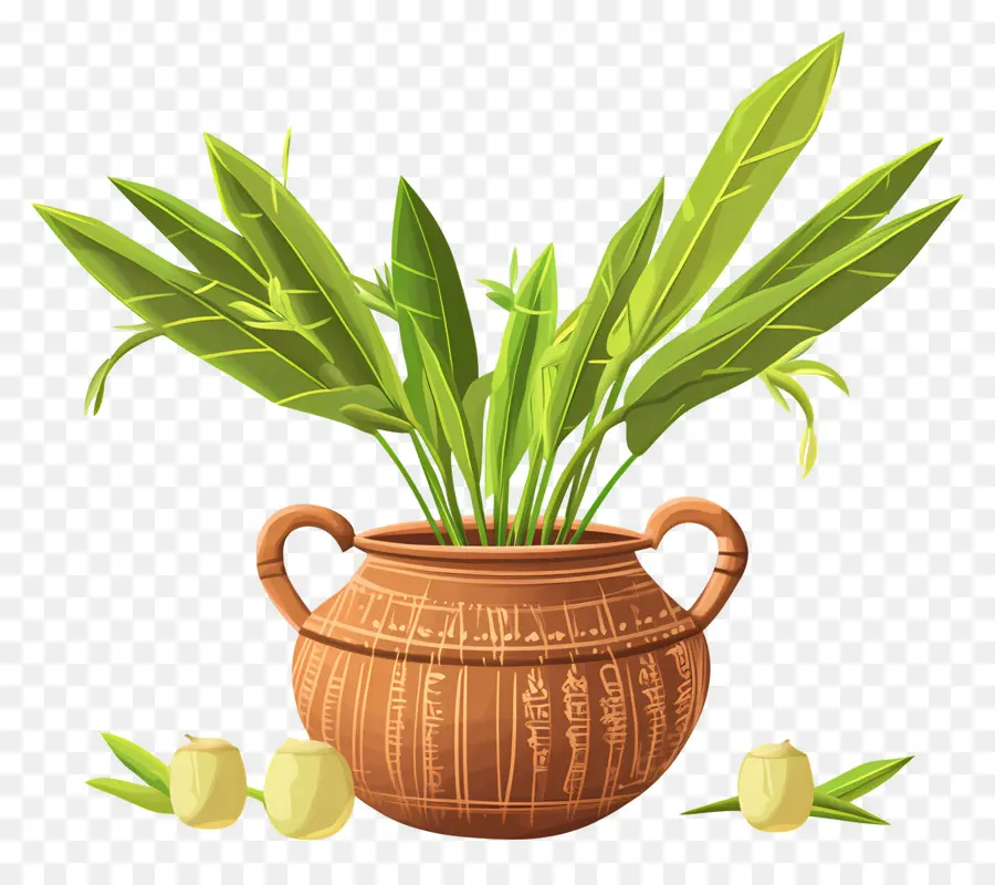 Selamat Pongal，Pot Tanah Liat Dengan Daun PNG