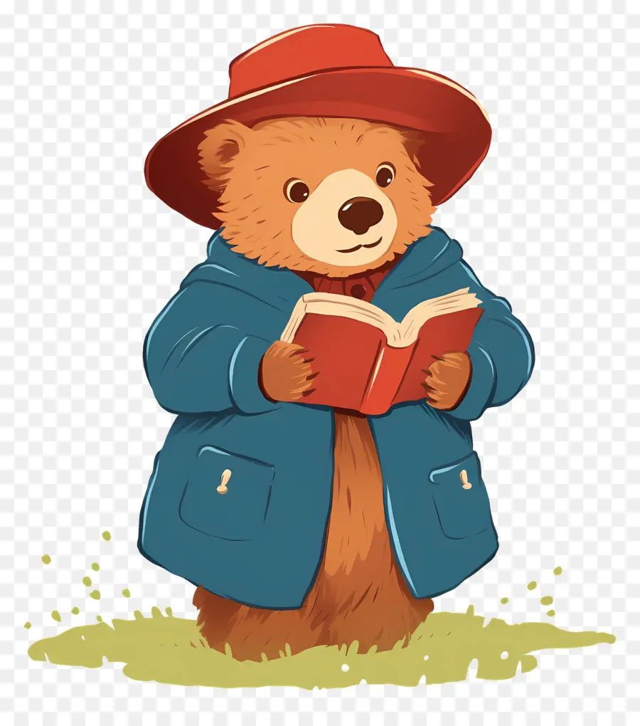 Paddington，Beruang Dengan Buku PNG