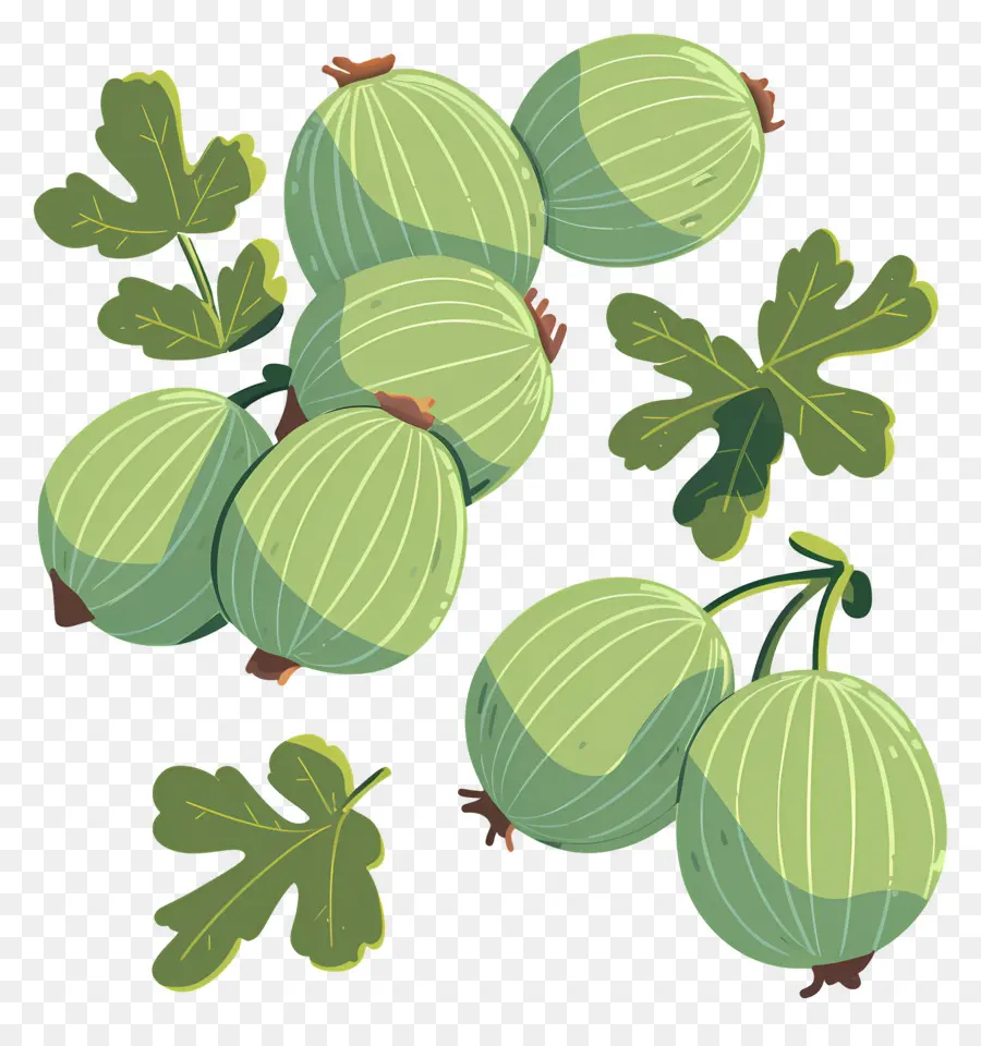 Buah Gooseberry，Gooseberry PNG