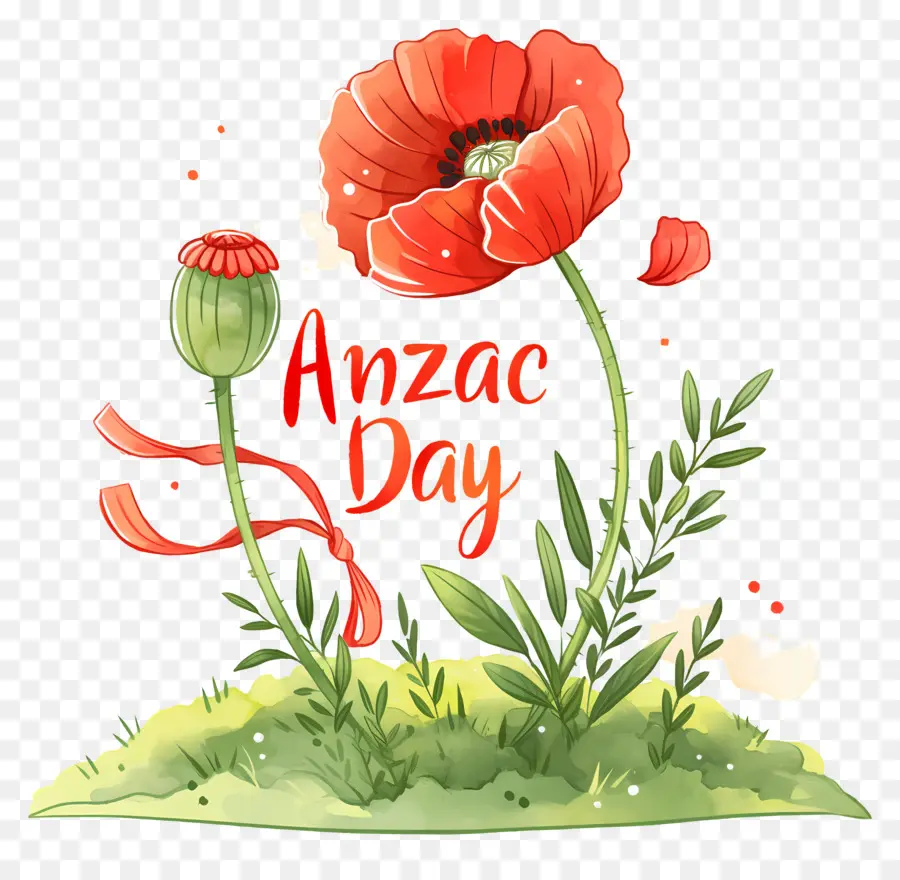 Hari Anzac，Bunga Poppy Hari Anzac PNG