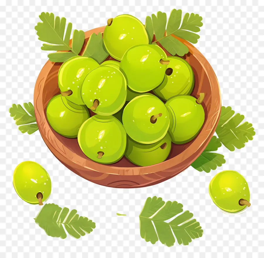 Buah Gooseberry，Berry Hijau PNG