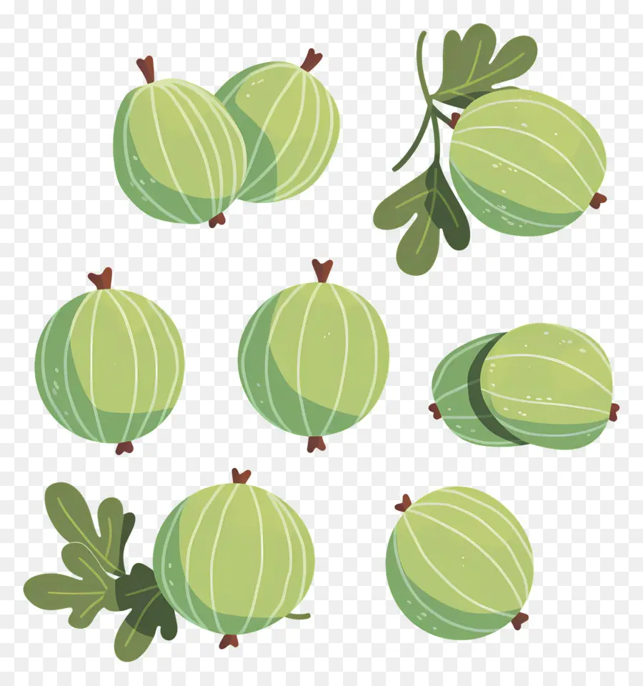 Buah Gooseberry，Gooseberry PNG