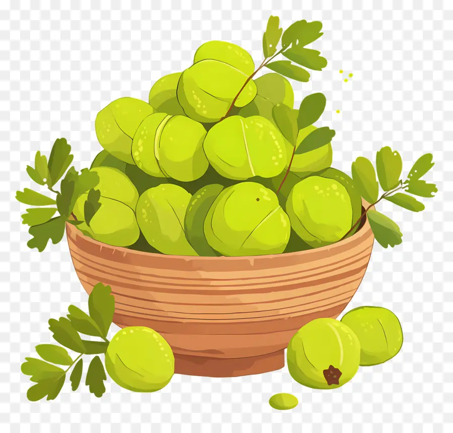 Buah Gooseberry，Berry Hijau PNG