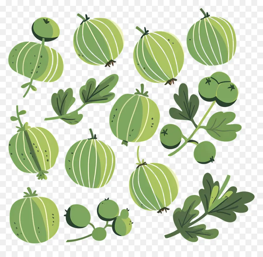 Buah Gooseberry，Gooseberry PNG