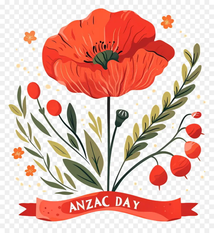 Hari Anzac，Bunga Poppy Hari Anzac PNG