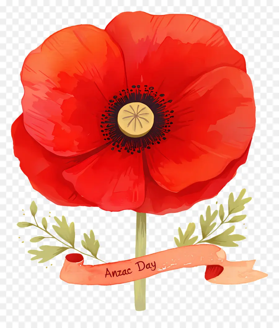 Hari Anzac，Poppy Anzac PNG