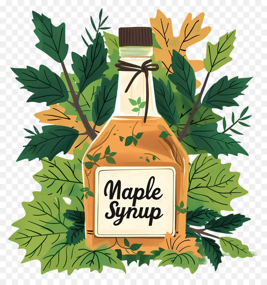 Hari Sirup Maple Nasional，Sirup Maple Dengan Daun PNG