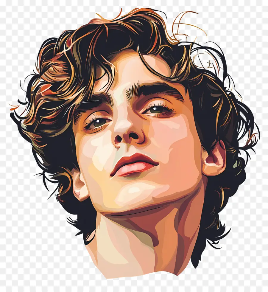 Timothee Chalamet，Potret Berwarna Warni PNG