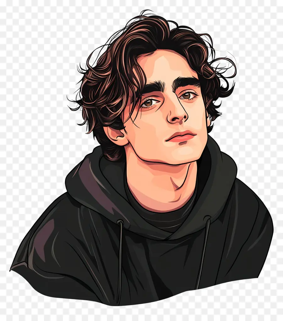 Timothee Chalamet，Potret Berwarna Warni PNG