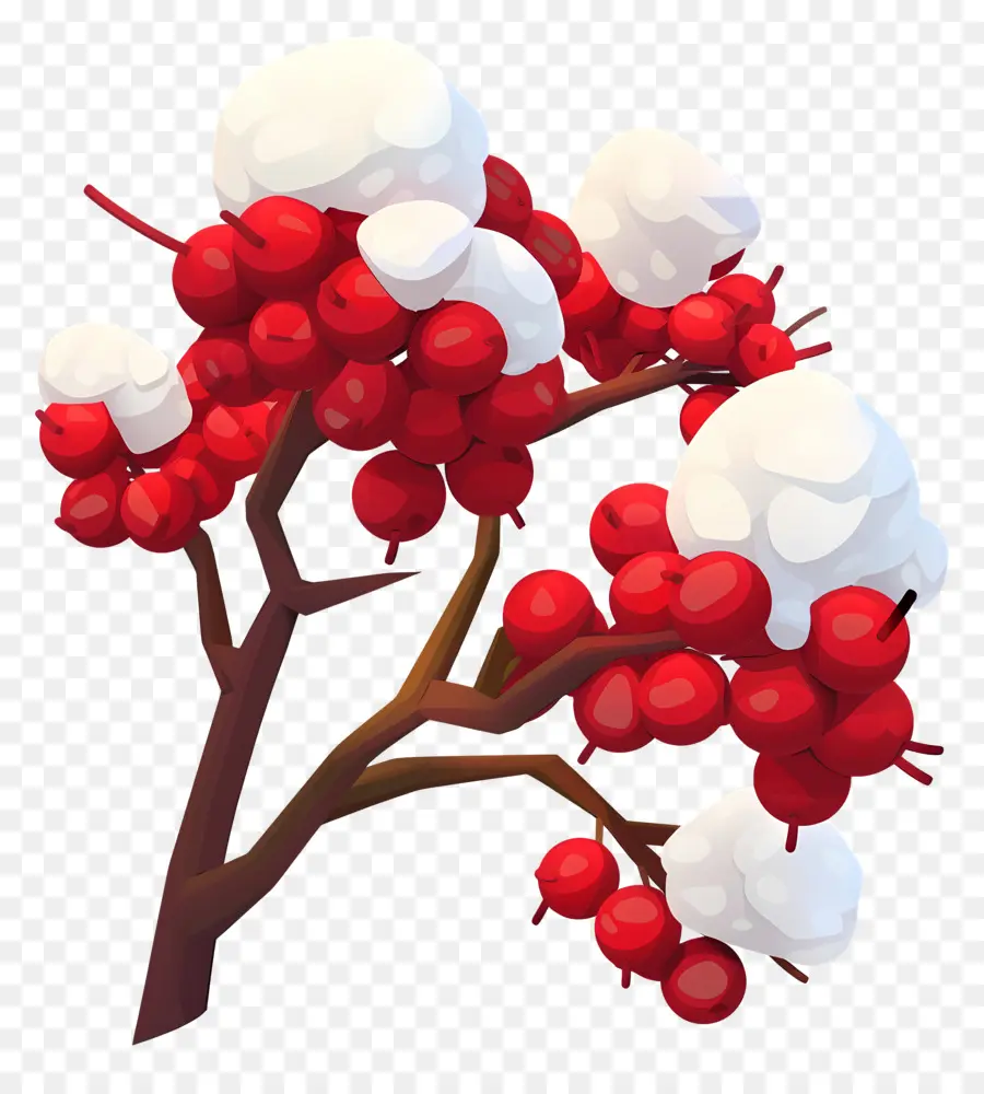 Berry Musim Dingin，Berry Bersalju PNG