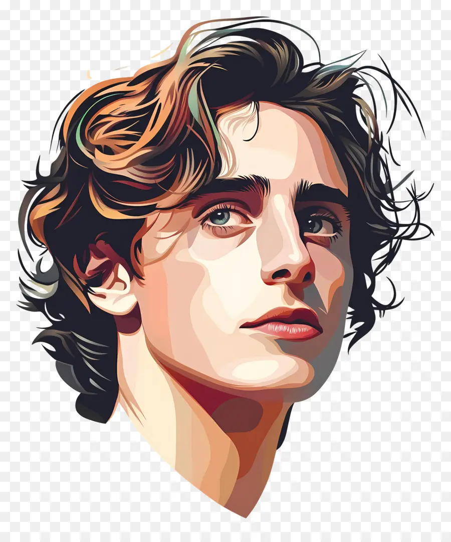 Timothee Chalamet，Potret Berwarna Warni PNG