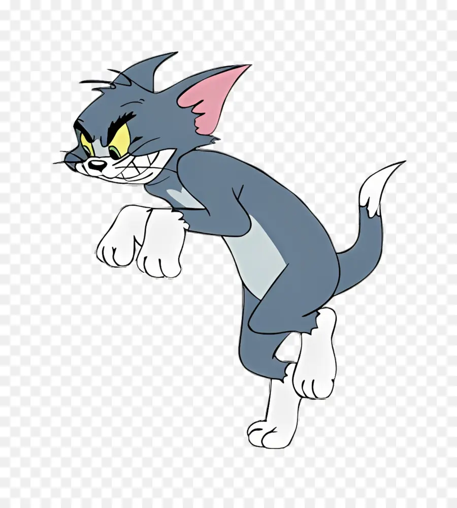 Tom Kucing，Tom PNG