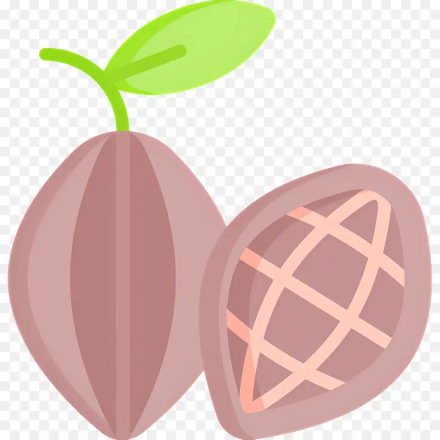 Biji Kakao，Buah Kakao PNG