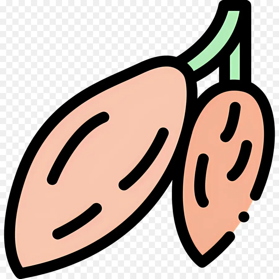 Biji Kakao，Buah Kakao PNG