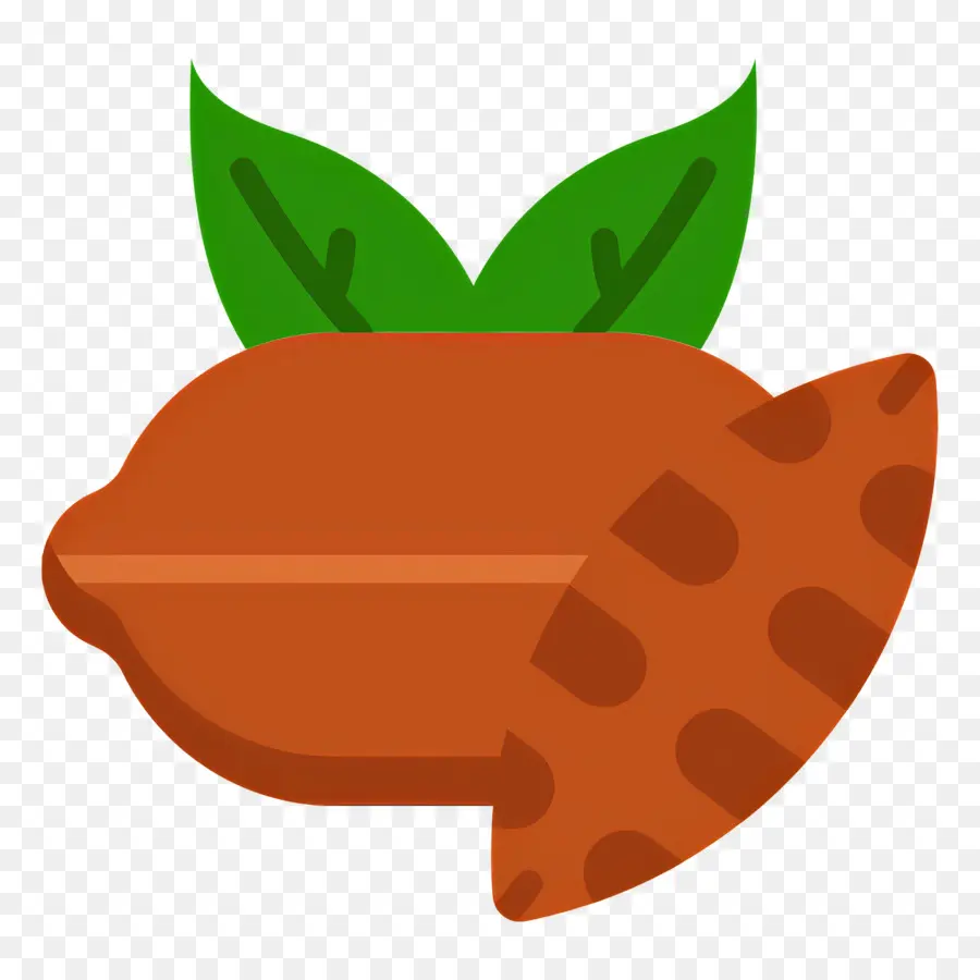 Biji Kakao，Buah Kakao PNG