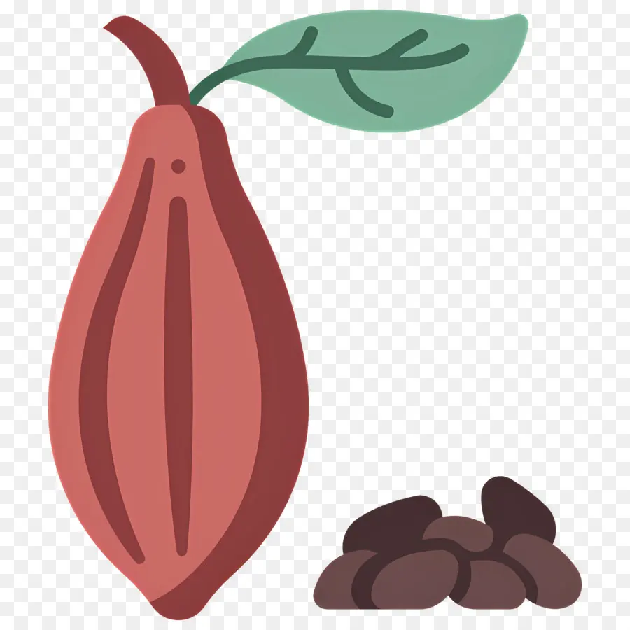 Biji Kakao，Buah Kakao PNG