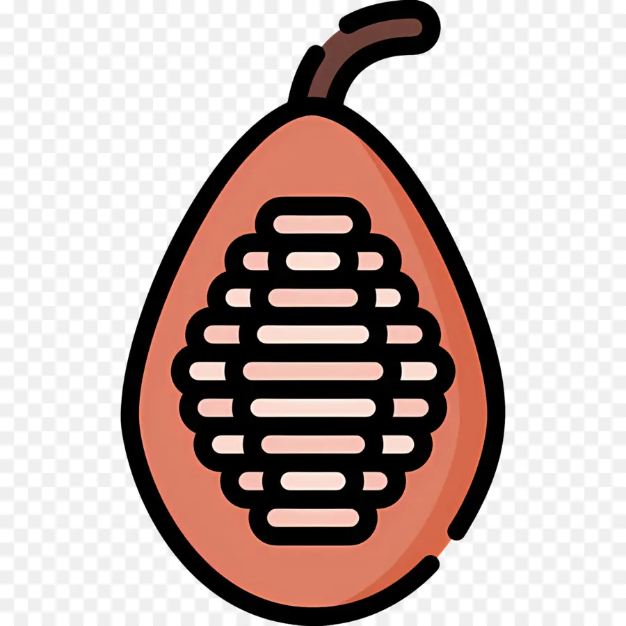 Biji Kakao，Buah Kakao PNG