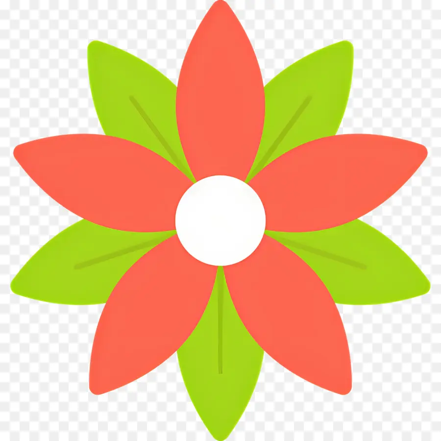 Poinsettia，Bunga PNG