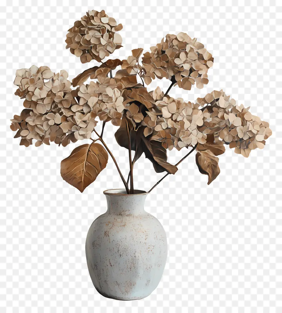 Hydrangea Kering，Hydrangea Kering Dalam Vas PNG