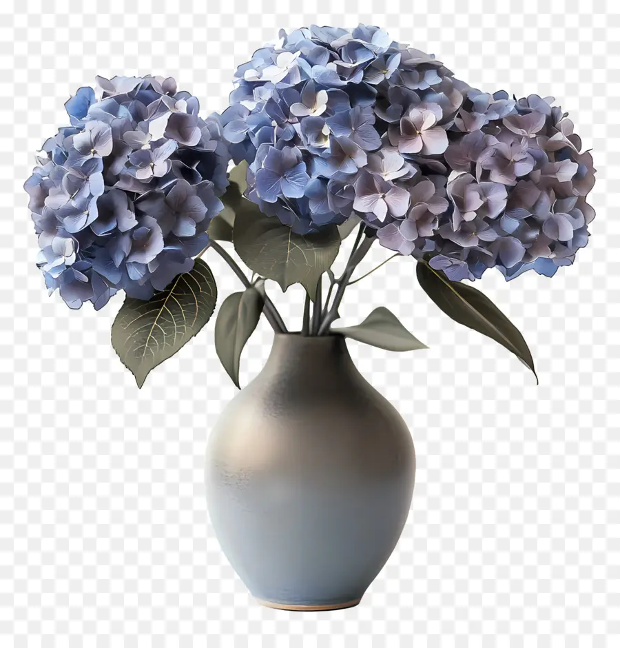 Hydrangea Kering，Hydrangea PNG