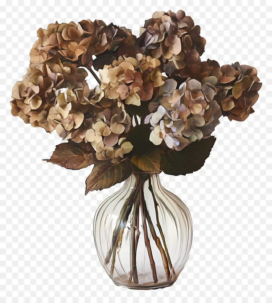 Hydrangea Kering，Hydrangea Dalam Vas PNG