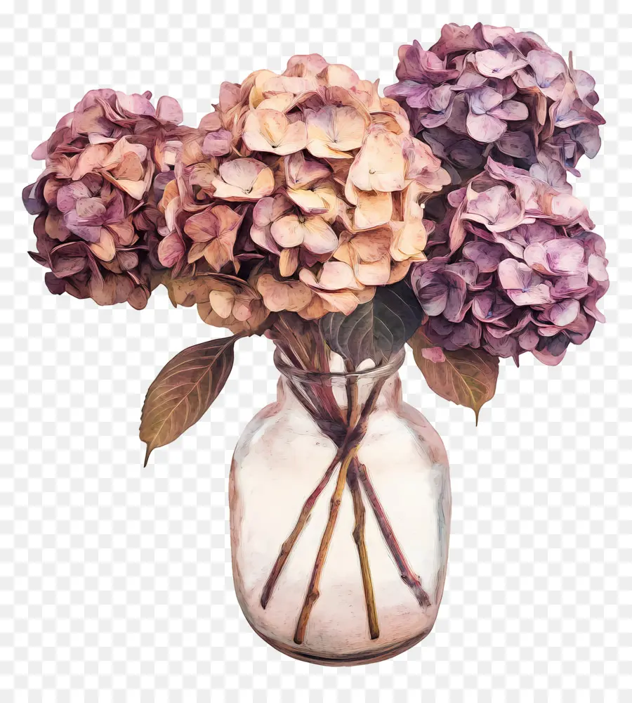 Hydrangea Kering，Hydrangea Dalam Vas PNG