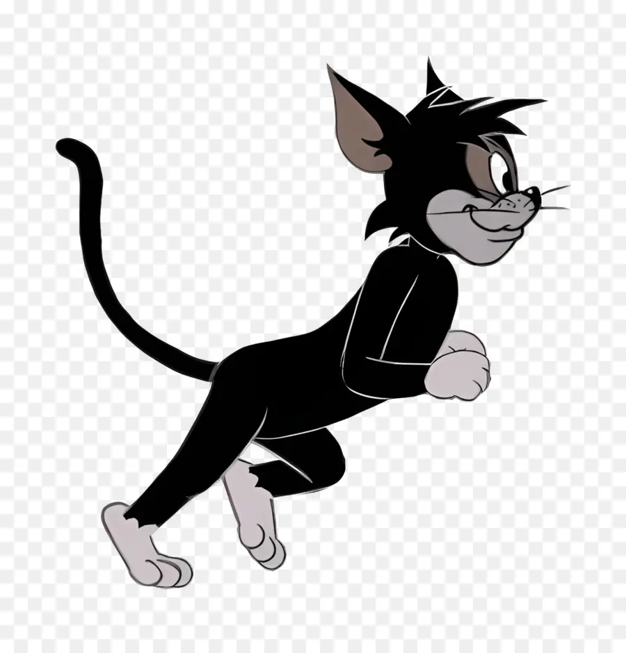 Kucing Butch，Kucing Hitam PNG