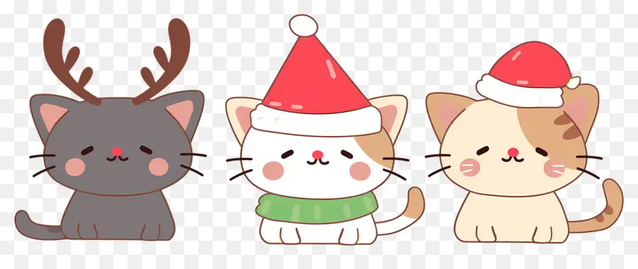 Hewan Natal，Kucing Lucu Dengan Topi Natal PNG