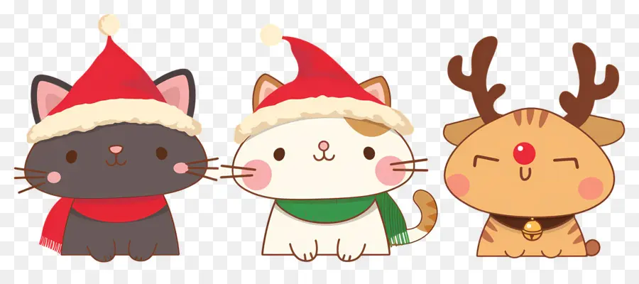 Hewan Natal，Kucing Lucu Dengan Topi Natal PNG