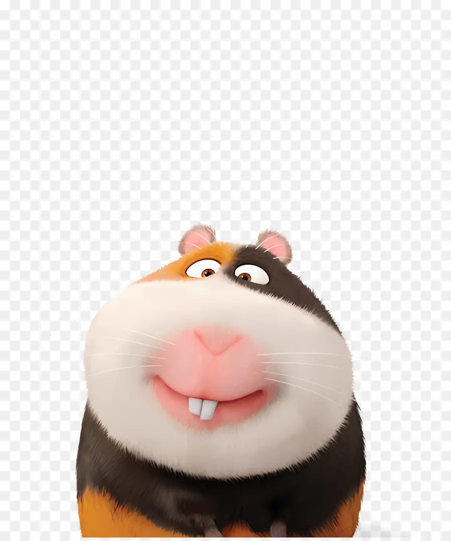 Kehidupan Rahasia Hewan Peliharaan，Kartun Hamster PNG