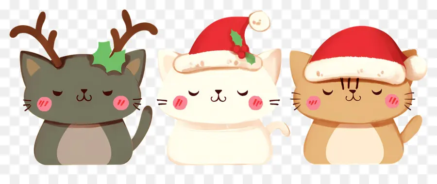 Hewan Natal，Kucing Lucu Dengan Topi Natal PNG