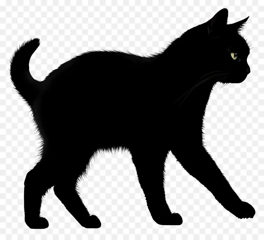 Kucing Berjalan，Kucing Hitam PNG